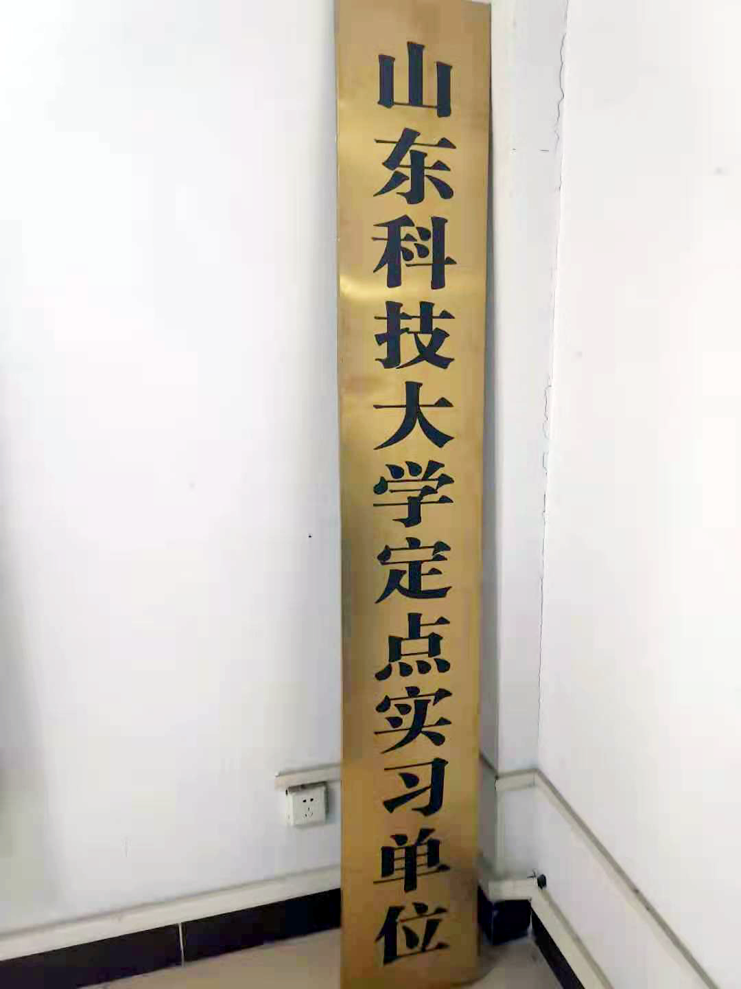 山東科技大學(xué)定點實習(xí)單位
