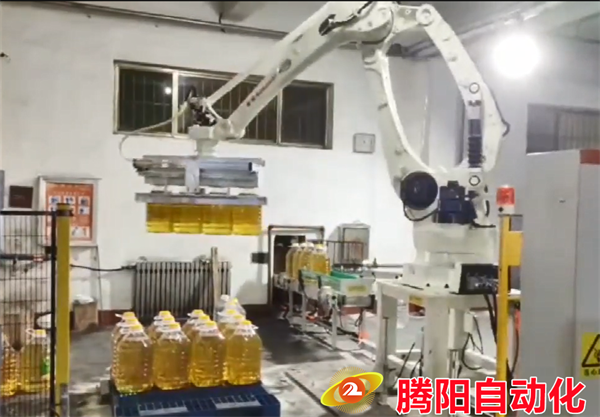 碼垛機(jī)器人